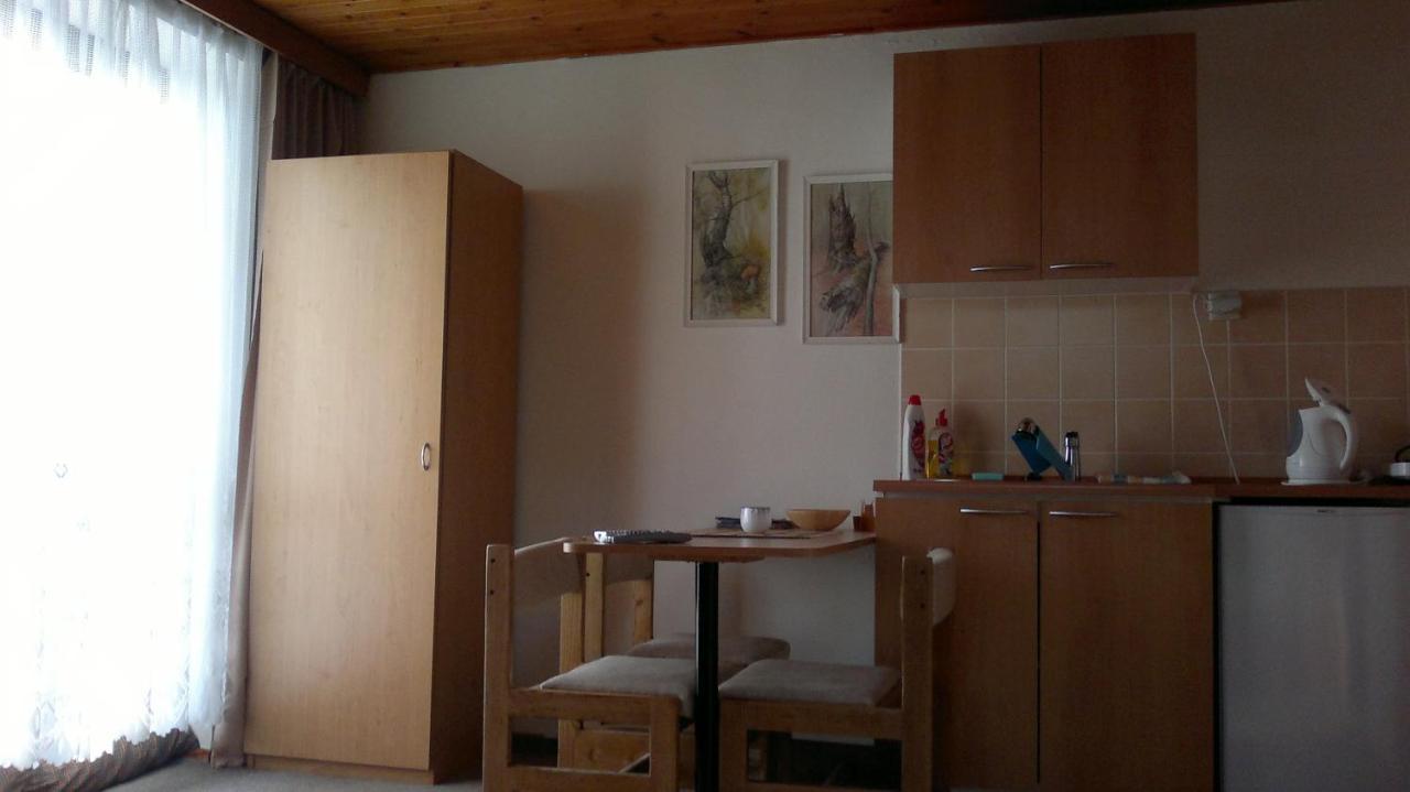 Apartmany U Ady Zelezna Ruda Luaran gambar